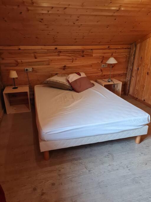 Chalet Familial - Pyrenees, Au Coeur Des 3 Stations La Cabanasse Eksteriør billede