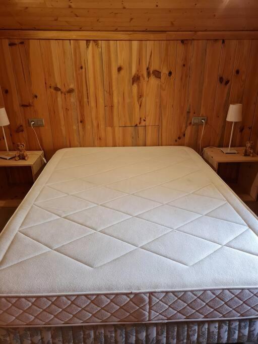 Chalet Familial - Pyrenees, Au Coeur Des 3 Stations La Cabanasse Eksteriør billede