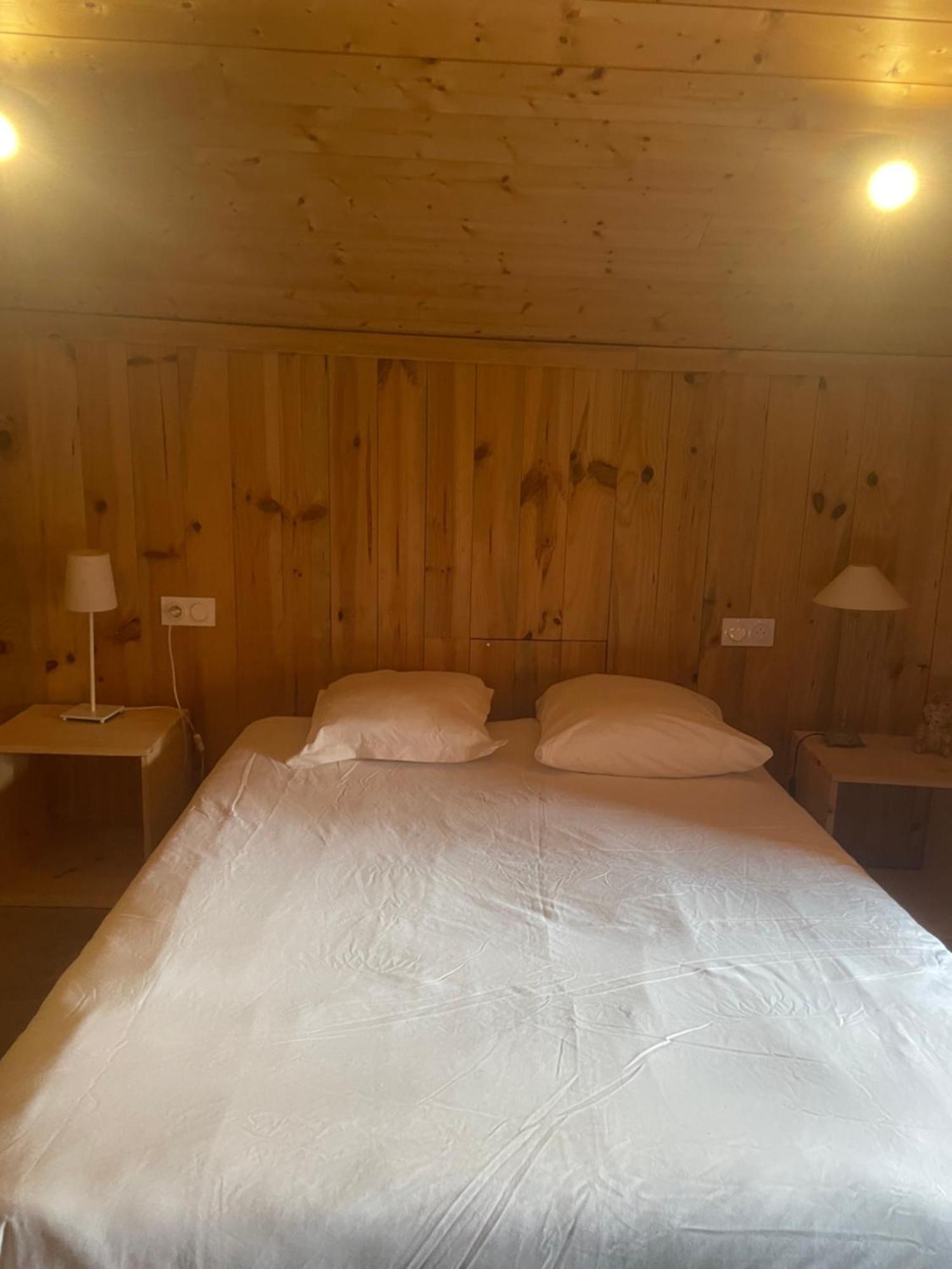 Chalet Familial - Pyrenees, Au Coeur Des 3 Stations La Cabanasse Eksteriør billede